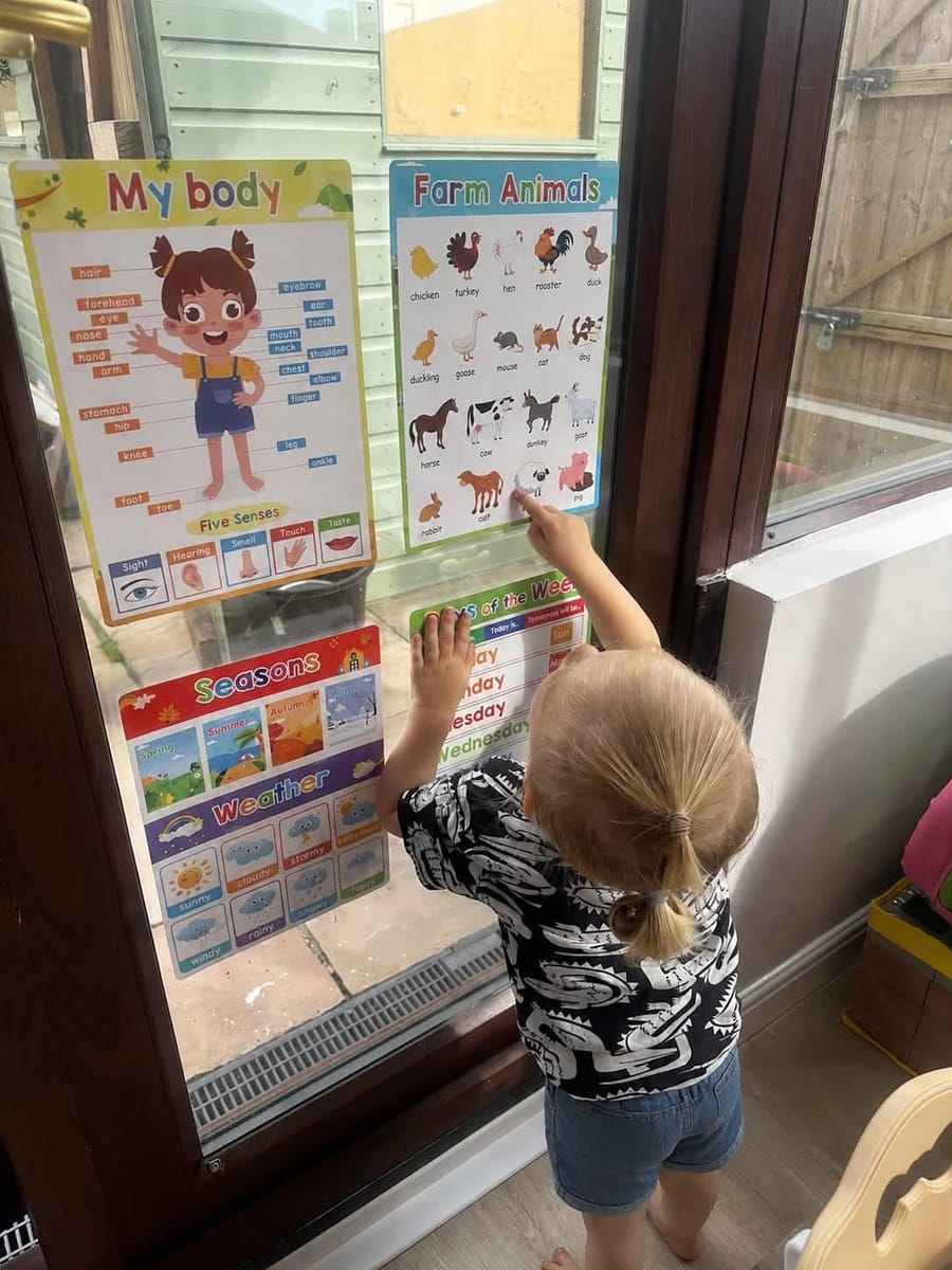 A child pointing at colourful learning posters — farm animals, my body, seasons and weather — on the window